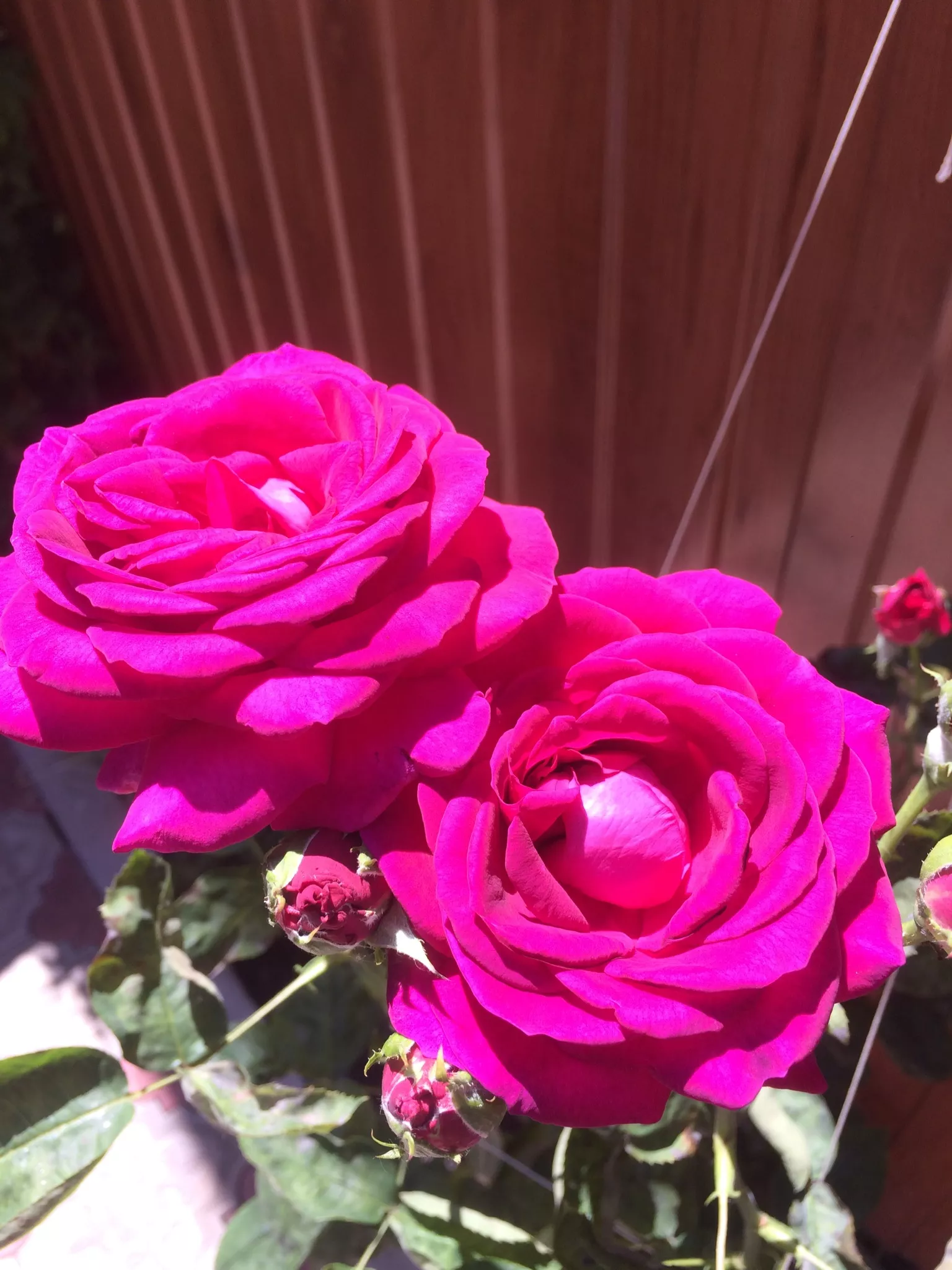 . Гостевой дом «Пчела». Ейск