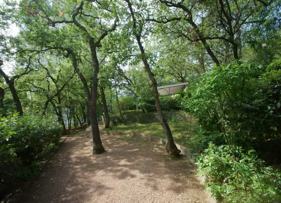 . Курортный отель "Пальмира Сад". Курпаты