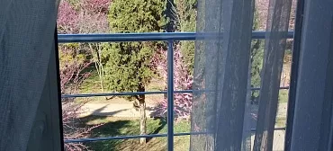 Частный сектор Квартира-студия