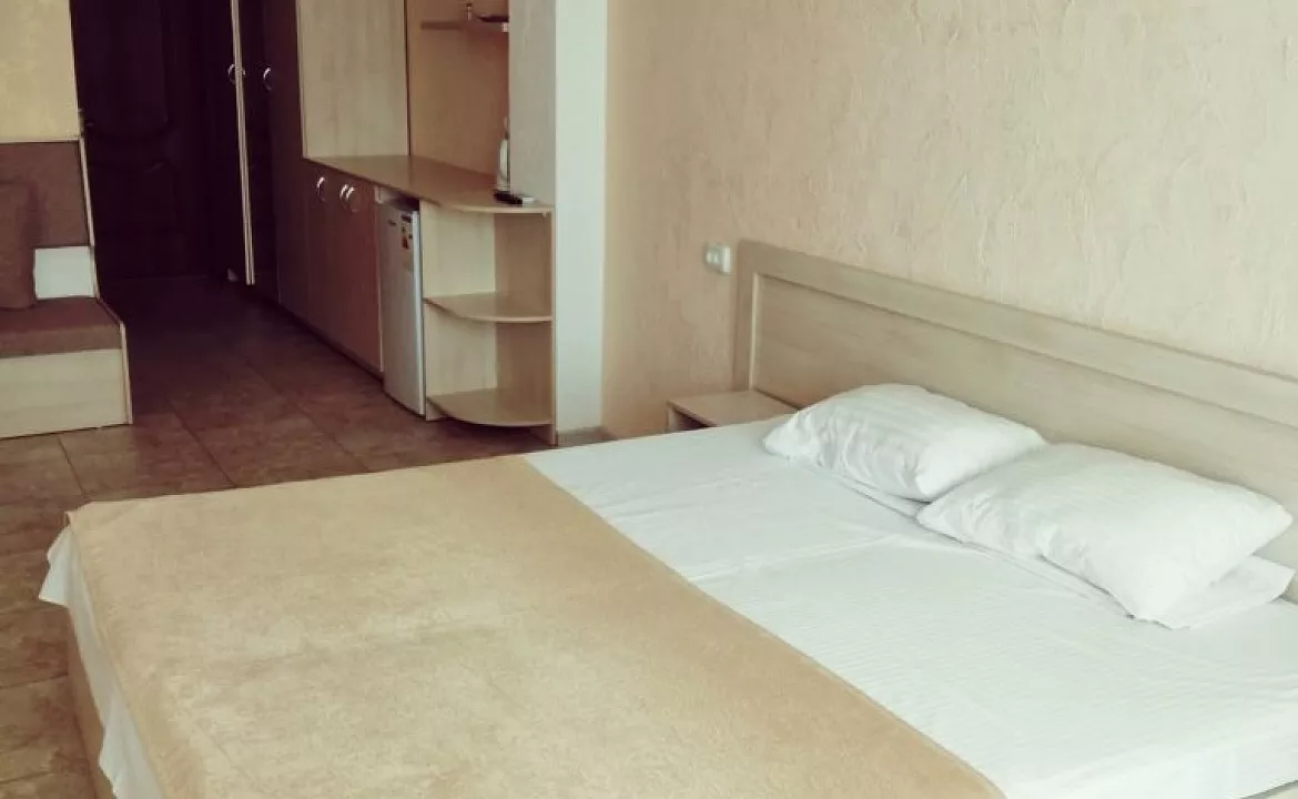 НОМЕР “КОМФОРТ +”. Пансионат «Витон». Отрадное