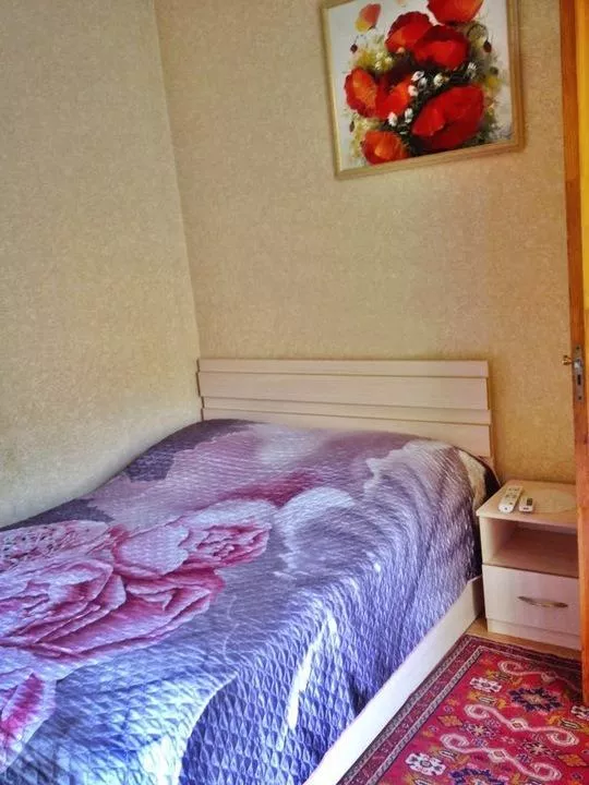 «Стандарт 2х-местный с двухспальной кроватью 1 корпус». Гостевой дом «Надежда» . Сочи
