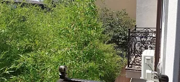 Квартиры у Санатория ЮЖНОЕ ВЗМОРЬЕ