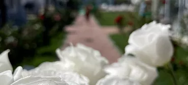 База отдыха «Здоровье» База отдыха «Здоровье»