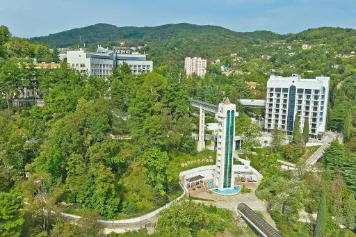 . Санаторий Мыс Видный. Хоста