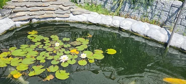 Квартира в многоквартирном доме ZaChill