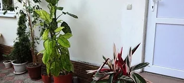 Гостиница "Патио"