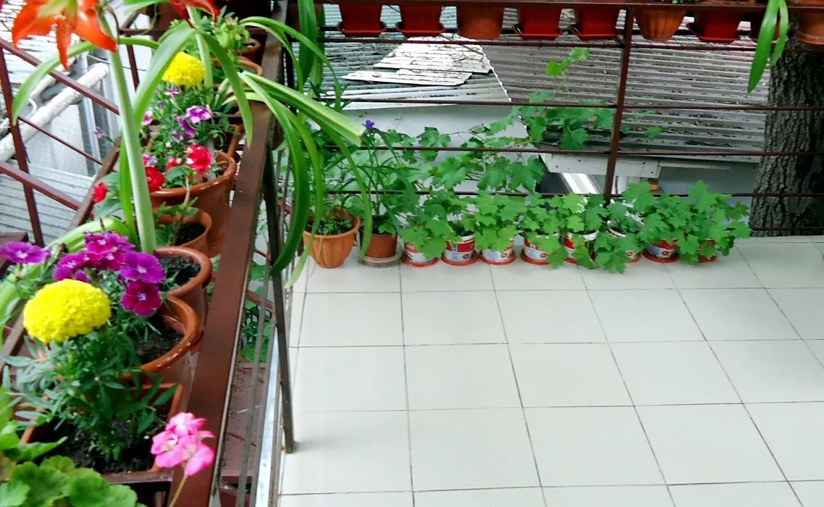 Студия. Частный гостевой дом Ялта. Ялта