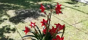 Частный сектор Гостевой дом на ул.Чамагуа 7