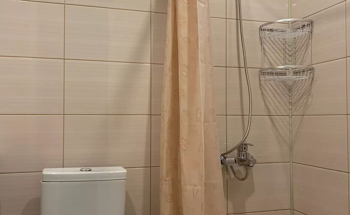 Люкс с 1 спальней. Гостевой дом ЭЙВА. Пицунда