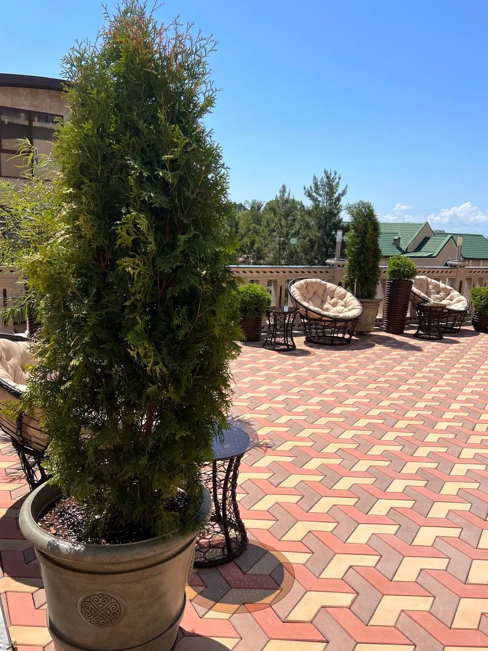 . АПАРТ ОТЕЛЬ ТК. Сочи