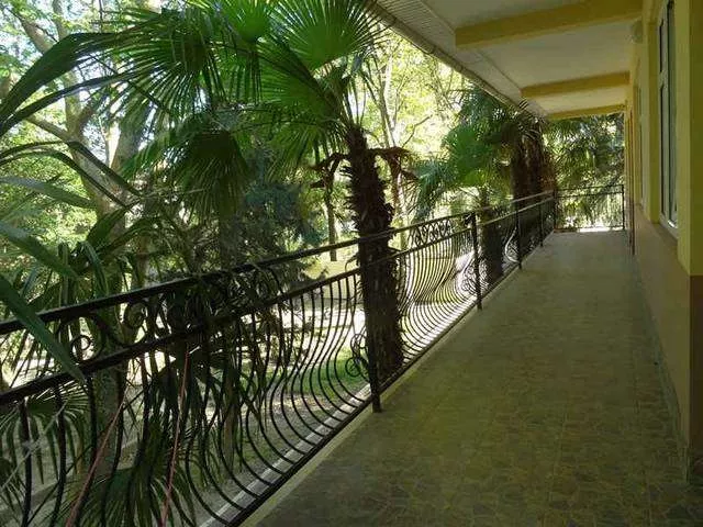 . База отдыха "Платан". Лазаревское . База отдыха "Платан". Лазаревское