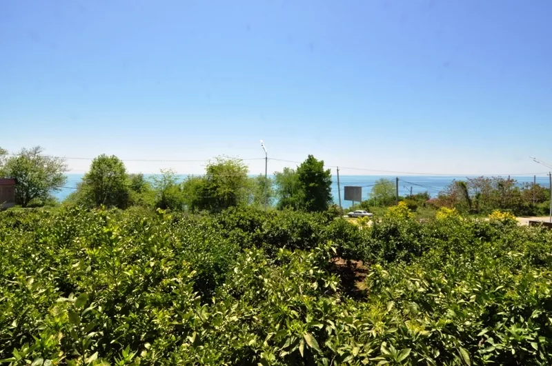 . Гостевой дом VSV. Новый Афон