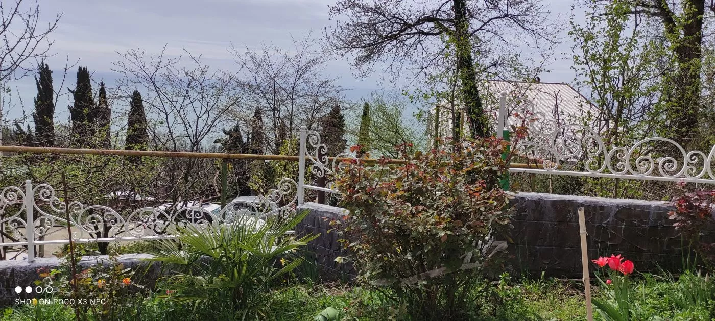 . Гостевой дом "Катюша". Дагомыс