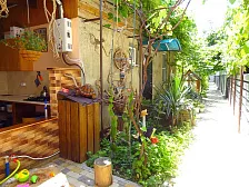 Частный сектор "Золотая рыбка" Частный сектор "Золотая рыбка"