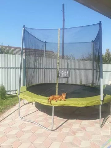 . Гостевой дом на Дунайской. Совет-Квадже