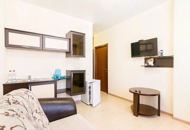 Номер люкс премиум. Отель "AndriaNova". Макопсе Номер люкс премиум. Отель "AndriaNova". Макопсе