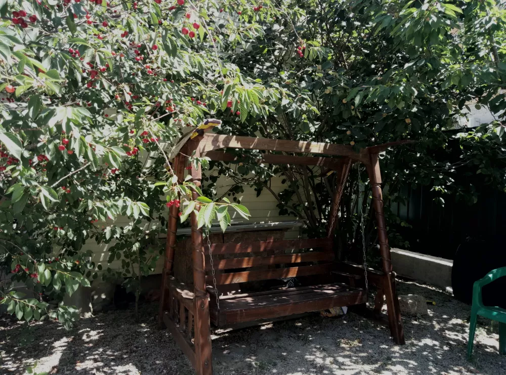 . Гостевой дом Парус. Коктебель