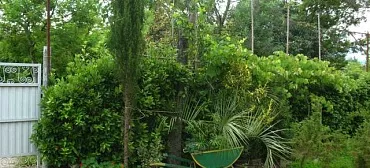 Гостевой дом "У Риммы"- Цандрипш