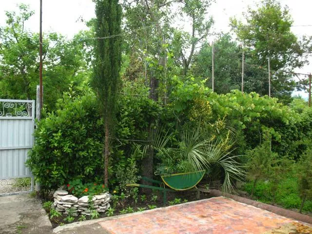 . Гостевой дом "У Риммы"- Цандрипш. Цандрипш