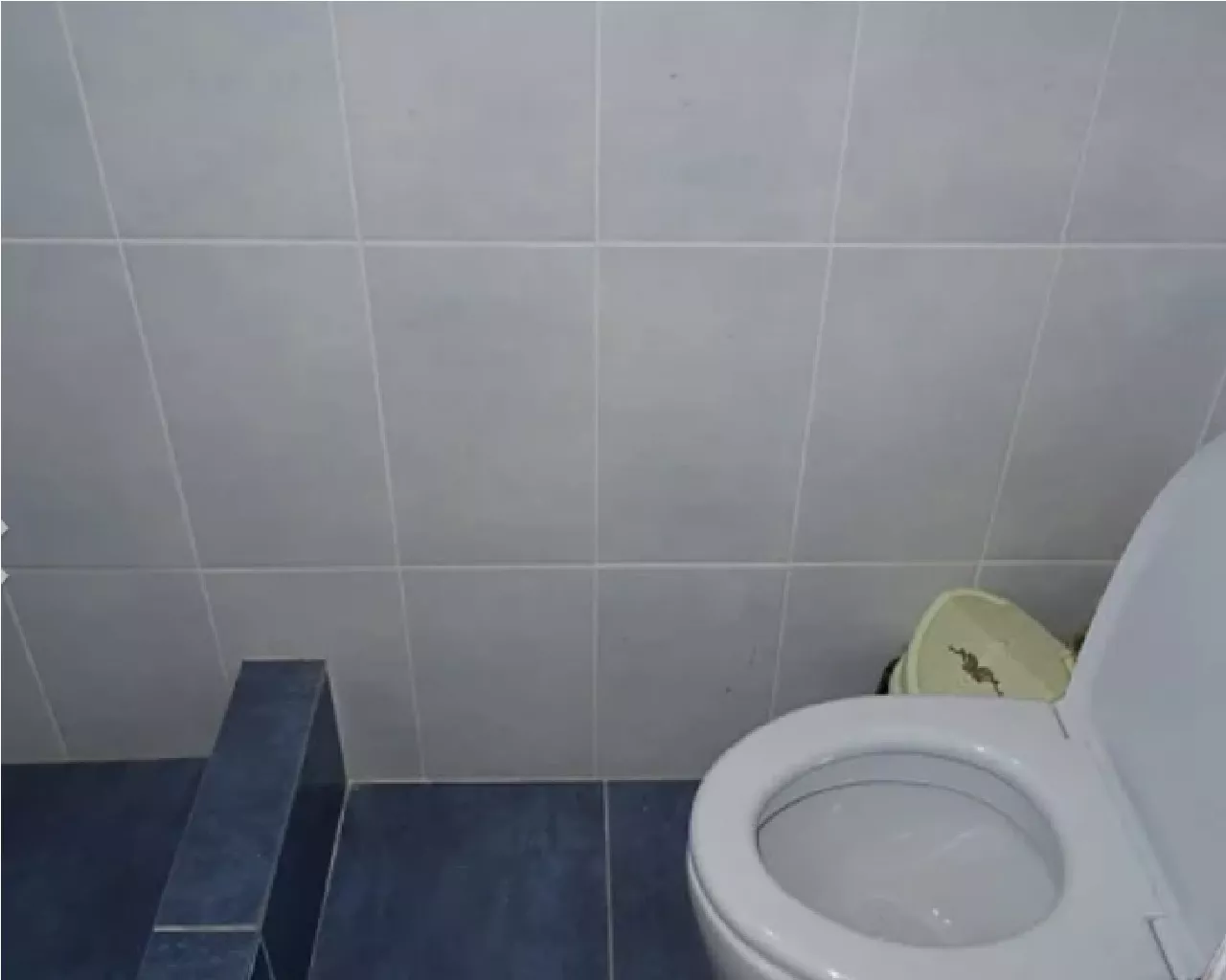 . Частный сектор Железнодорожная 11. Сухум