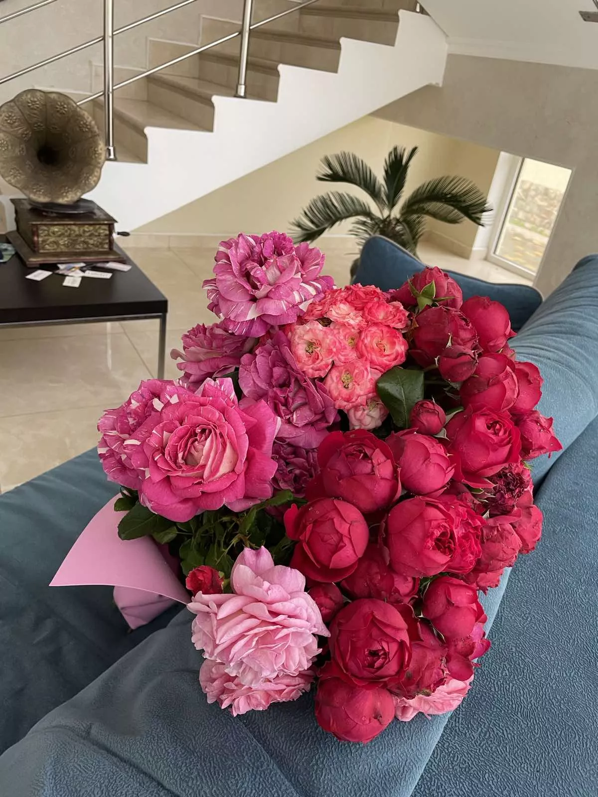 . База отдыха "Платан Resort". Витязево