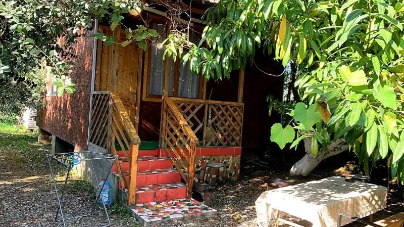 . Гостевой дом "Инь-Янь". Пицунда . Гостевой дом "Инь-Янь". Пицунда