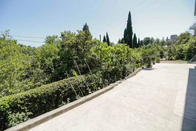 . Гостевой дом "Голландия". Гагра