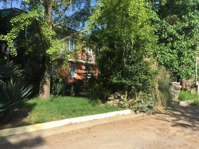 . База отдыха "Платан". Лазаревское . База отдыха "Платан". Лазаревское