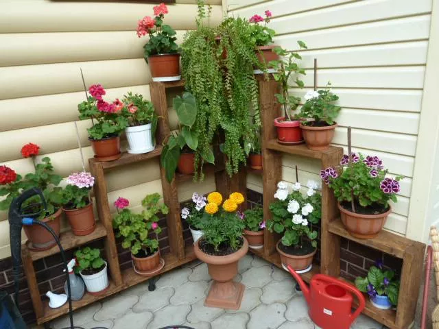 . Частный сектор << МАРГАРИТА >>. Лазаревское