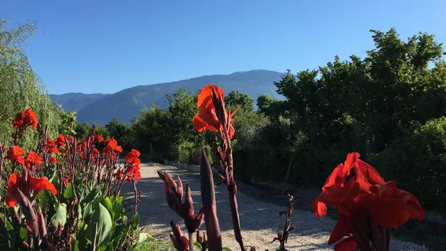 . Гостиница «Святая Абхазия». Пицунда