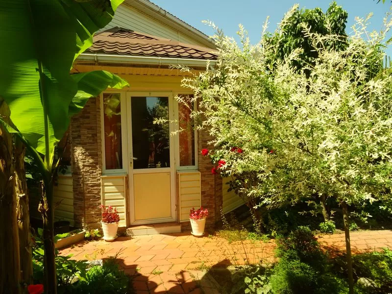 . Частный сектор "Цезарь". Архипо-Осиповка