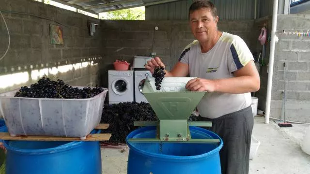 . Гостевой дом «Квартирки у моря» (кухня в номере). Вардане