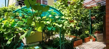 Гостевой дом "Татьянин День"