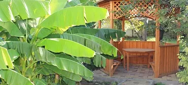 Дом под ключ Кати Соловьяновой 14