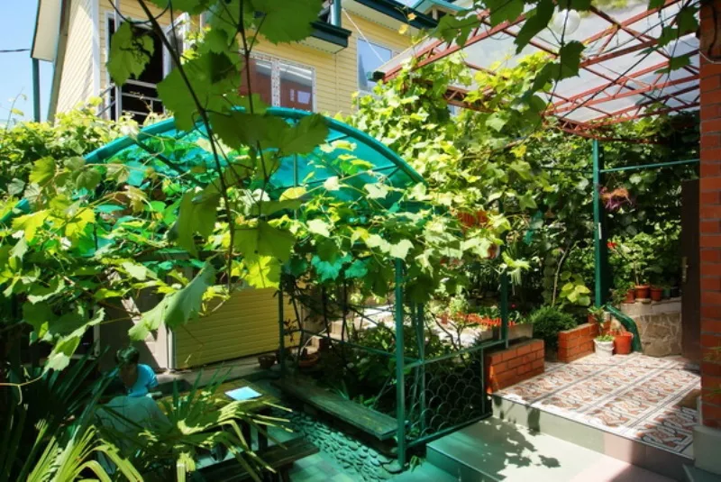 . Гостевой дом "Татьянин День". Лазаревское