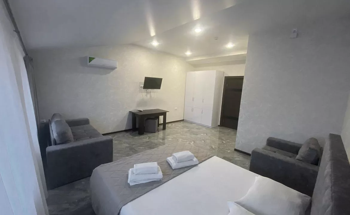 5-ти местный номер «Улучшеный» с двуспальной кроватью, раскладным диваном, креслом. Отель «Эра». Анапа