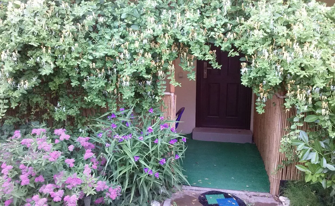 Улучшенный. Гостевой дом Орловка. Севастополь Улучшенный. Гостевой дом Орловка. Севастополь