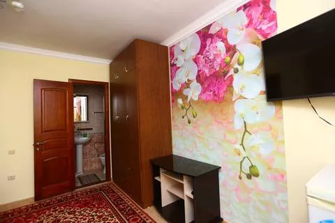 Двухместный номер «комфорт». Гостевой дом «Сочи». Сочи