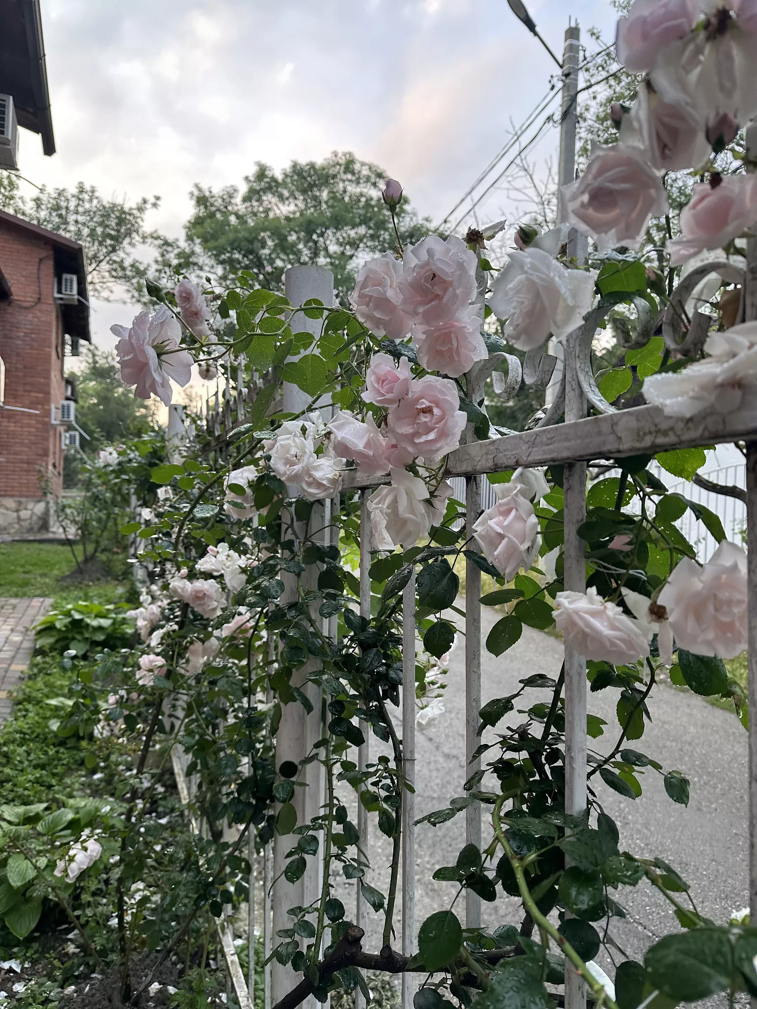 . База отдыха "Дивное". Дивноморское