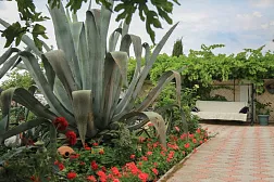 Гостевой дом Частный "Арзы" Гостевой дом Частный "Арзы"