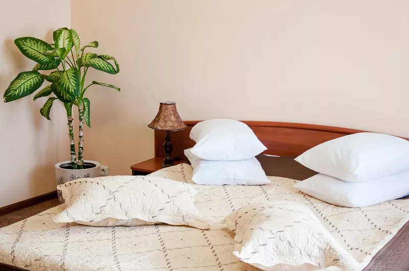 Люкс. Гостевые дома «Вилла Магия». Саки