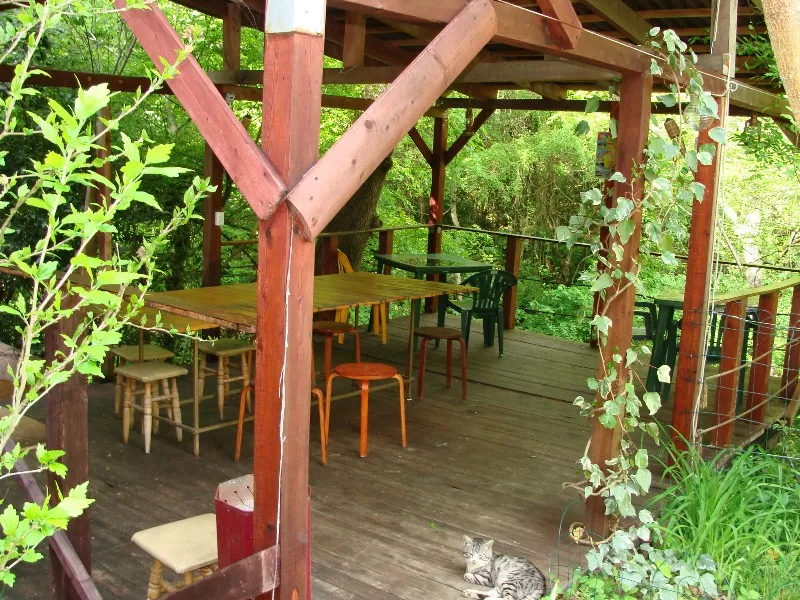 . Гостевой комплекс “Дубрава”. Лазаревское