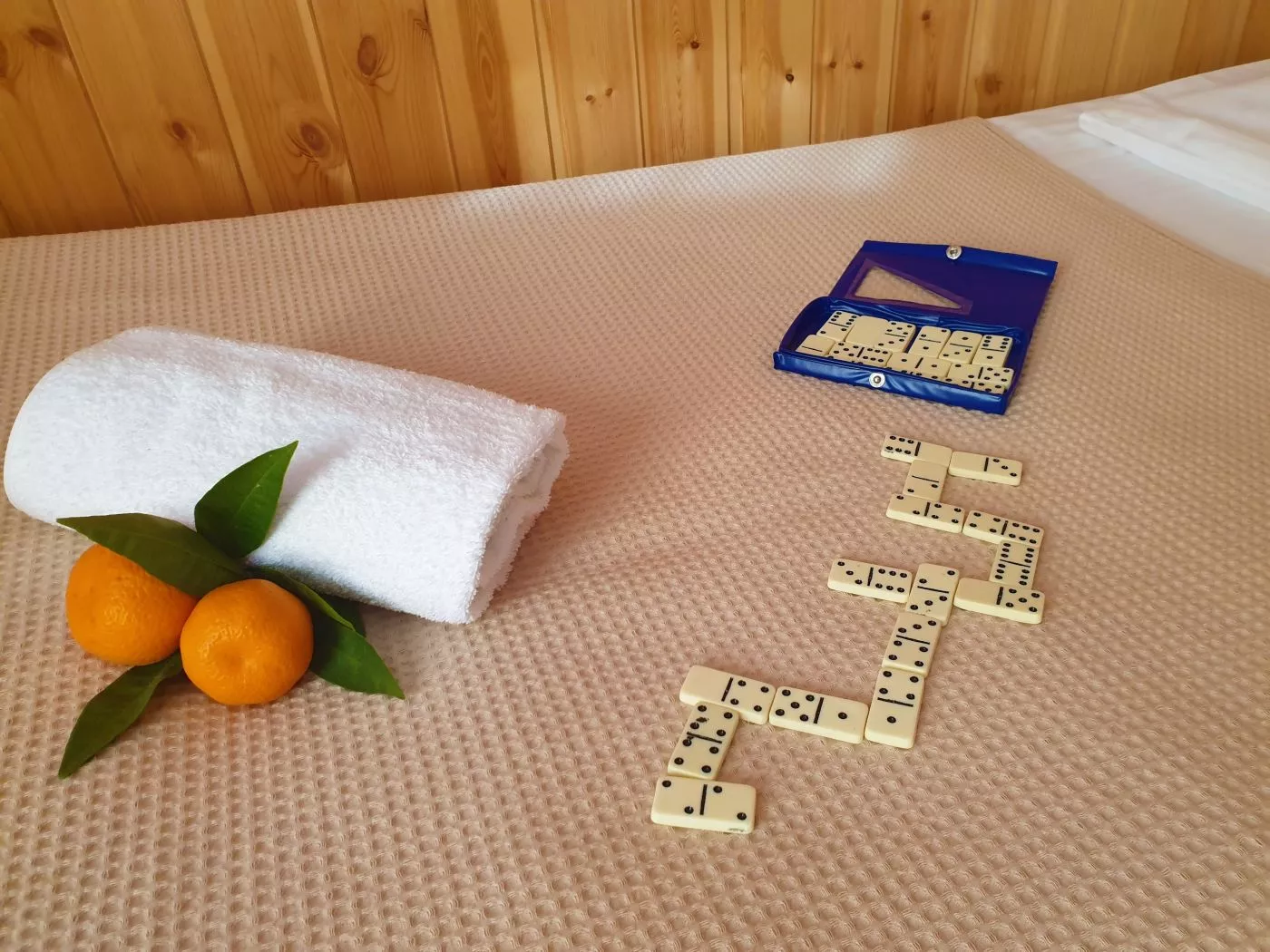 . Дом под ключ FIESTA SEA. Гагра