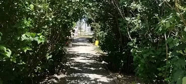 Дом под ключ Лотос