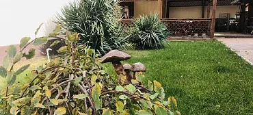 Отель Второе лето