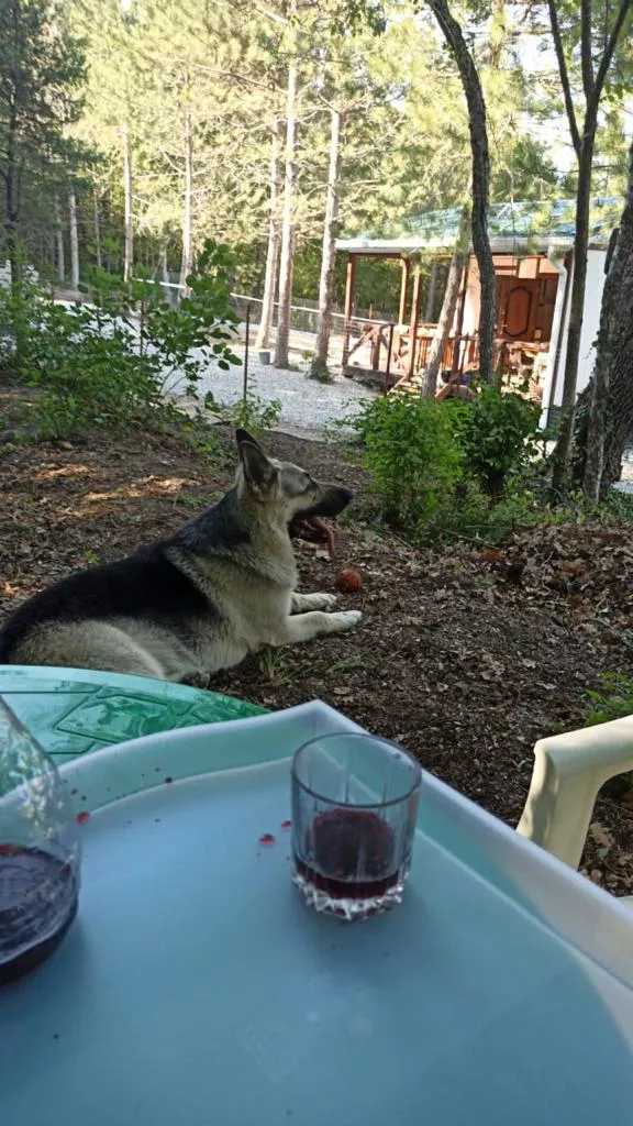 . Частный сектор "НезаБудка". Голубая бухта