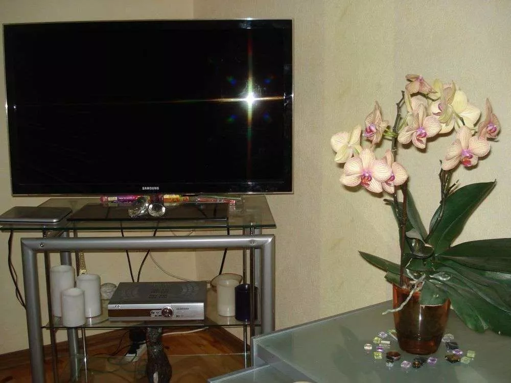 . Частный сектор 2х комнатная квартира на набережной. Ялта