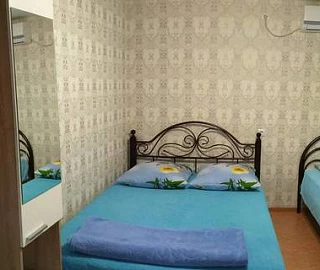 Трехместный. Гостевой дом Виктория - Головинка. Трехместный. Гостевой дом Виктория - Головинка.