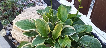 Частный сектор У тети Аси