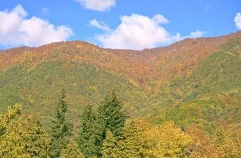 . Шале Белый Вихрь. Красная Поляна